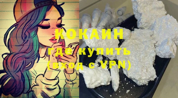 индика Алзамай