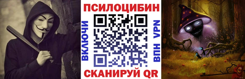Купить  Смоленск  Псилоцибиновые грибы Cubensis 